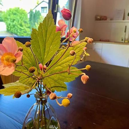 Apartamento Odw Homes - Im Mit Garten *