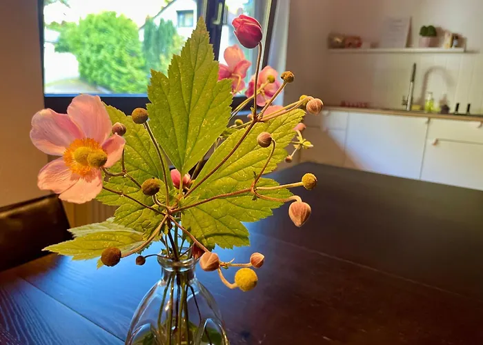 Apartamento Odw Homes - Im Mit Garten *